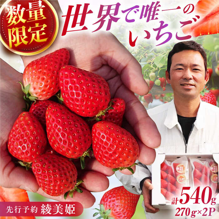 【先行予約 2026年2月より発送】 〈幻のイチゴ〉綾美姫270g×2 広川町 / 石川農園[AFCC001]