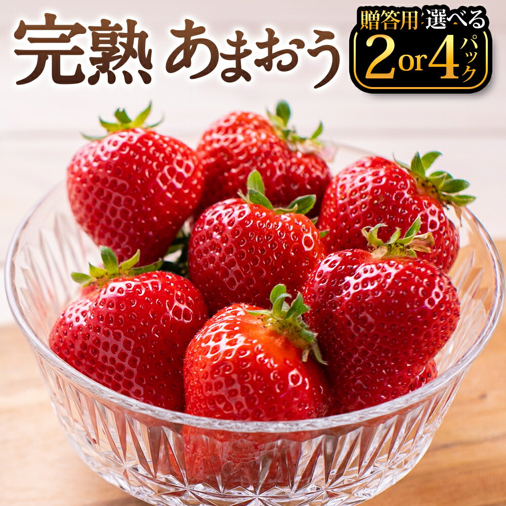完熟 あまおう 贈答用〈選べる〉2パック or 4パック 1パックあたり約250g～410g 苺 イチゴ いちご 果物 フルーツ 国産 九州 福岡県 田川市産 香春町 送料無料【2026年1月上旬-3月上旬までに出荷予定】