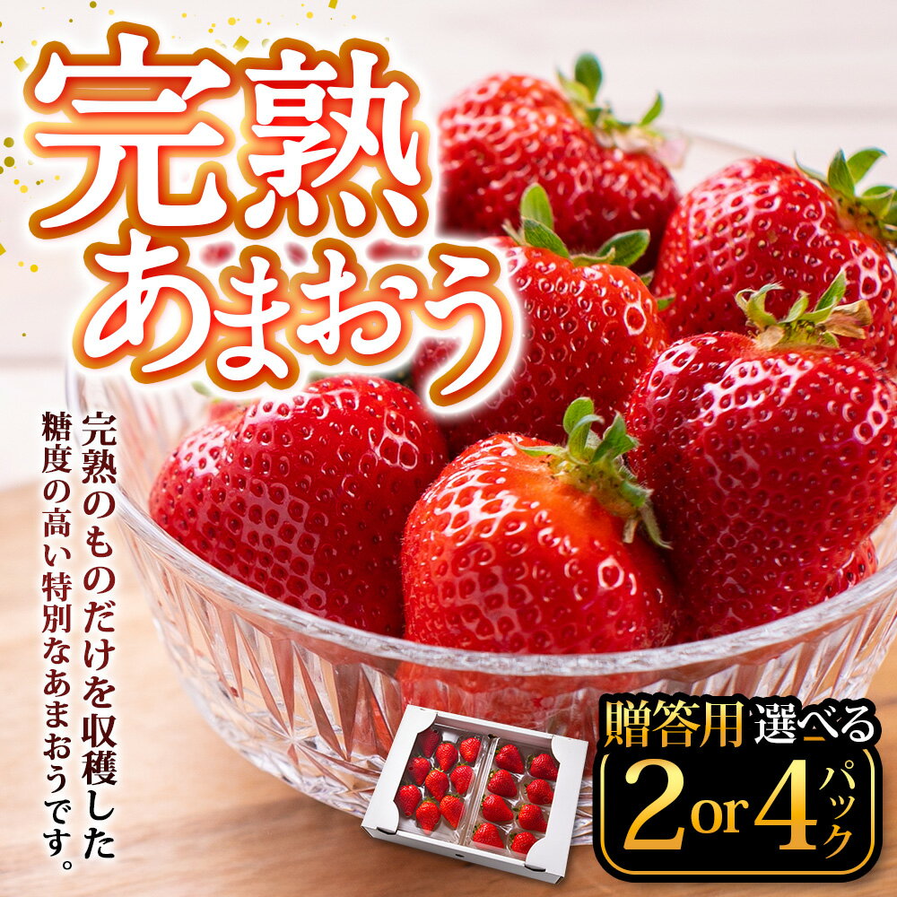 【ふるさと納税】完熟 あまおう 贈答用〈選べる〉2パック or 4パック 1パックあたり約250g～410g 苺 イチゴ いちご 果物 フルーツ 国産 九州 福岡県 田川市産 香春町 送料無料【2026年1月上旬-3月上旬までに出荷予定】 サムネイル2