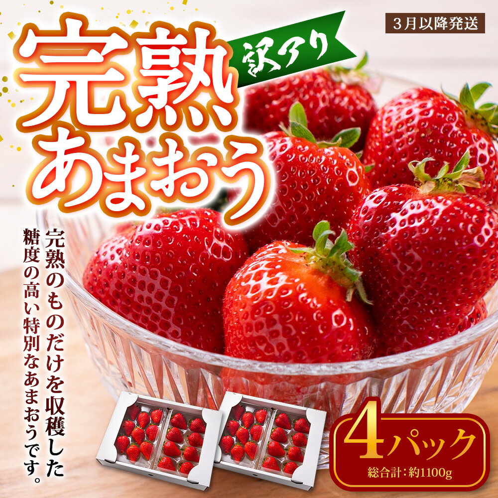 【ふるさと納税】【訳あり】完熟あまおう 約275g×4パック 苺 イチゴ いちご 果物 フルーツ 国産 九州 福岡県 田川市産 香春町 送料無料【2026年3月下旬出荷予定】 サムネイル2