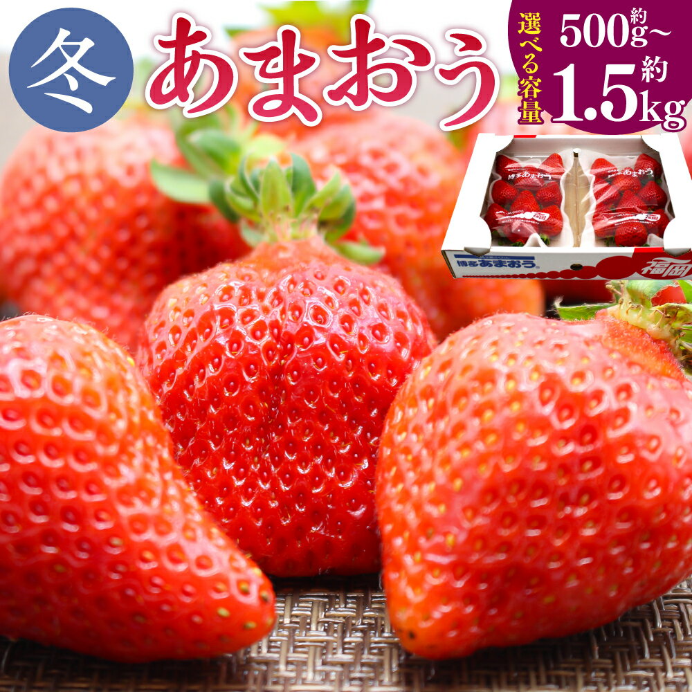 博多あまおう(冬) 〈選べる〉約500g～1.5kg 2パック～6パック 1パック250g-270g あまおう いちご 苺 ストロベリー 果物 フルーツ 福岡県産 博多 福岡 青果 送料無料【2025年12月上旬-2026年1月下旬発送予定】
