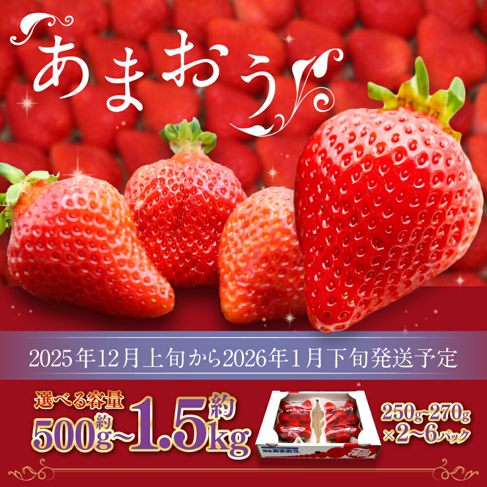 【ふるさと納税】博多あまおう(冬) 〈選べる〉約500g～1.5kg 2パック～6パック 1パック250g-270g あまおう いちご 苺 ストロベリー 果物 フルーツ 福岡県産 博多 福岡 青果 送料無料【2025年12月上旬-2026年1月下旬発送予定】 サムネイル2