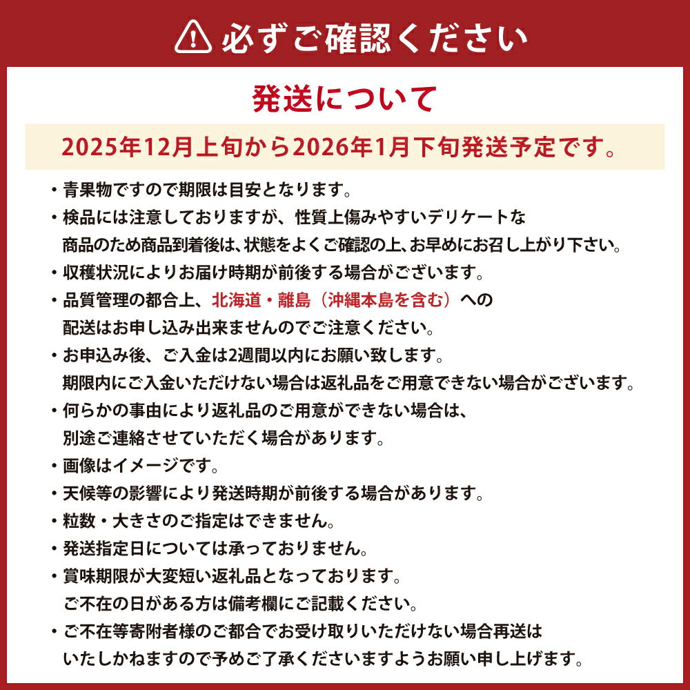 【ふるさと納税】博多あまおう(冬) 〈選べる〉約500g～1.5kg 2パック～6パック 1パック250g-270g あまおう いちご 苺 ストロベリー 果物 フルーツ 福岡県産 博多 福岡 青果 送料無料【2025年12月上旬-2026年1月下旬発送予定】 サムネイル3