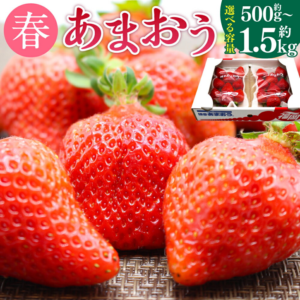 博多あまおう(春)〈選べる〉約500g～1.5kg 2パック～6パック 1パック250g-270g あまおう いちご 苺 ストロベリー 果物 フルーツ 福岡県産 博多 福岡 青果 送料無料【2026年2月上旬-4月下旬発送予定】