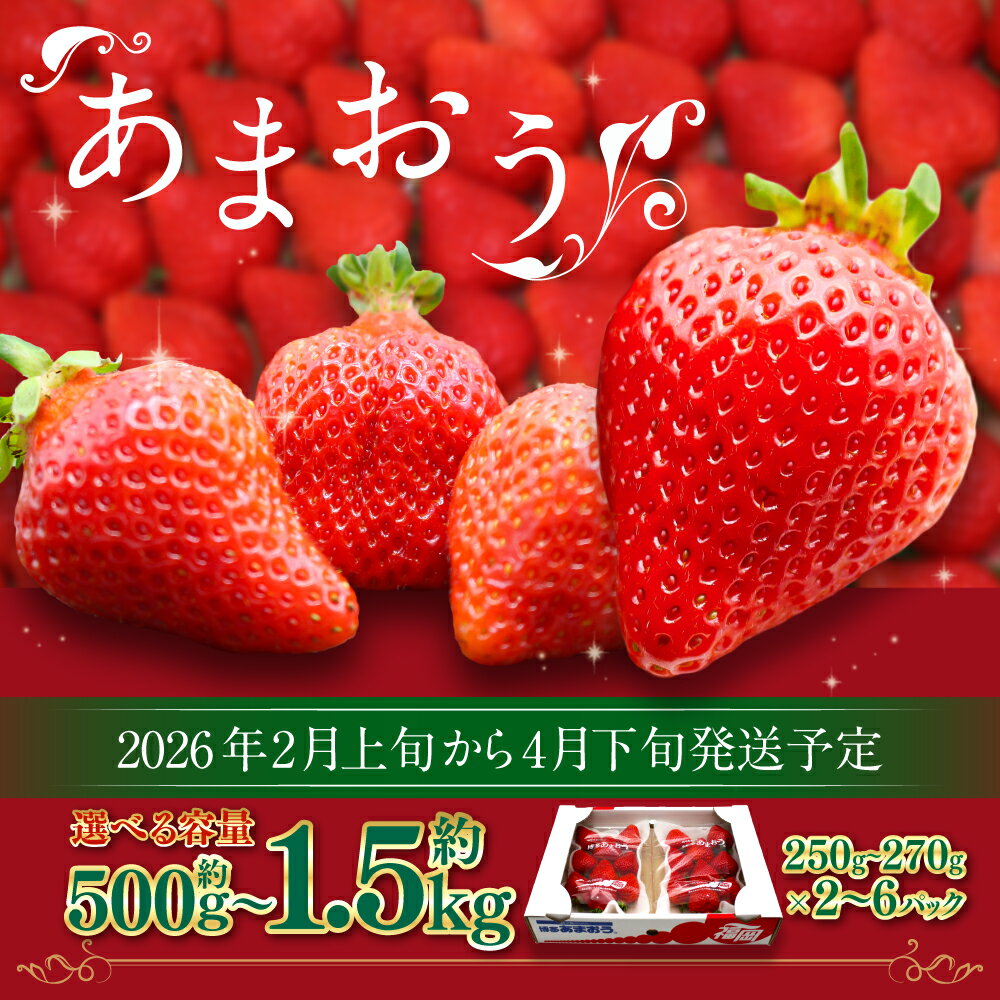 【ふるさと納税】博多あまおう(春)〈選べる〉約500g～1.5kg 2パック～6パック 1パック250g-270g あまおう いちご 苺 ストロベリー 果物 フルーツ 福岡県産 博多 福岡 青果 送料無料【2026年2月上旬-4月下旬発送予定】 サムネイル2