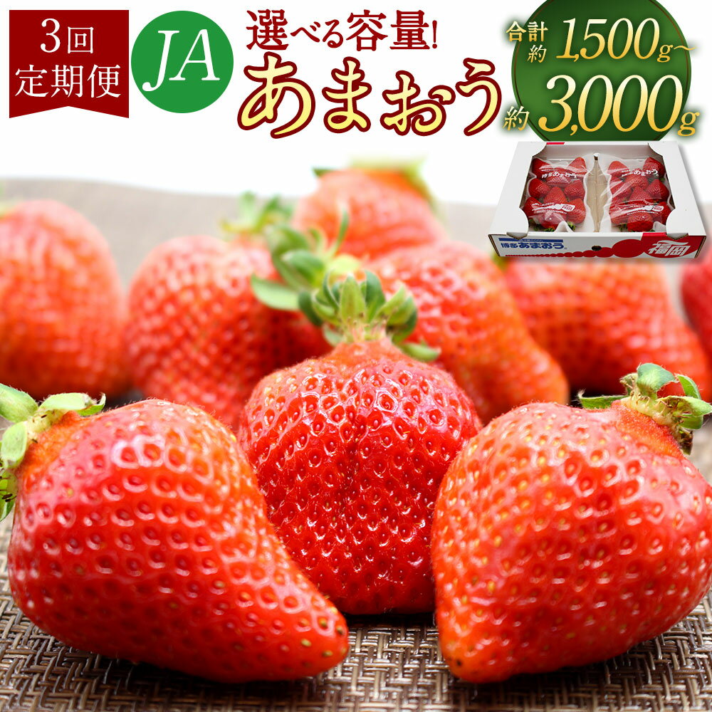 【3回定期便(2・3・4月発送)】博多あまおう〈選べる〉約1.5kg(2パック×3回) or 約3kg(4パック×3回) 1パックあたり約250g-270g いちご 苺 フルーツ くだもの 果物 冷蔵 国産 福岡県 送料無料【2026年2月上旬-4月下旬発送予定】