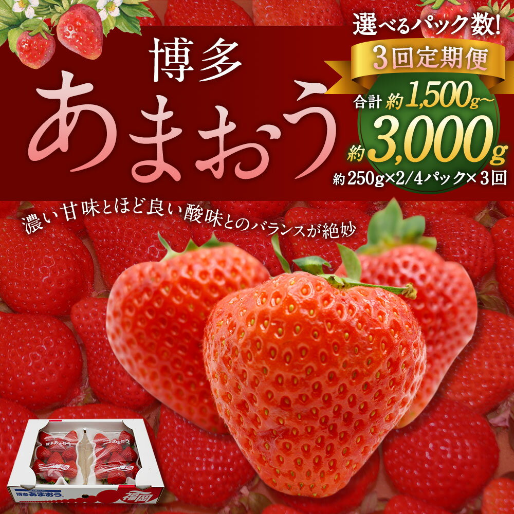 【ふるさと納税】【3回定期便(2・3・4月発送)】博多あまおう〈選べる〉約1.5kg(2パック×3回) or 約3kg(4パック×3回) 1パックあたり約250g-270g いちご 苺 フルーツ くだもの 果物 冷蔵 国産 福岡県 送料無料【2026年2月上旬-4月下旬発送予定】 サムネイル2