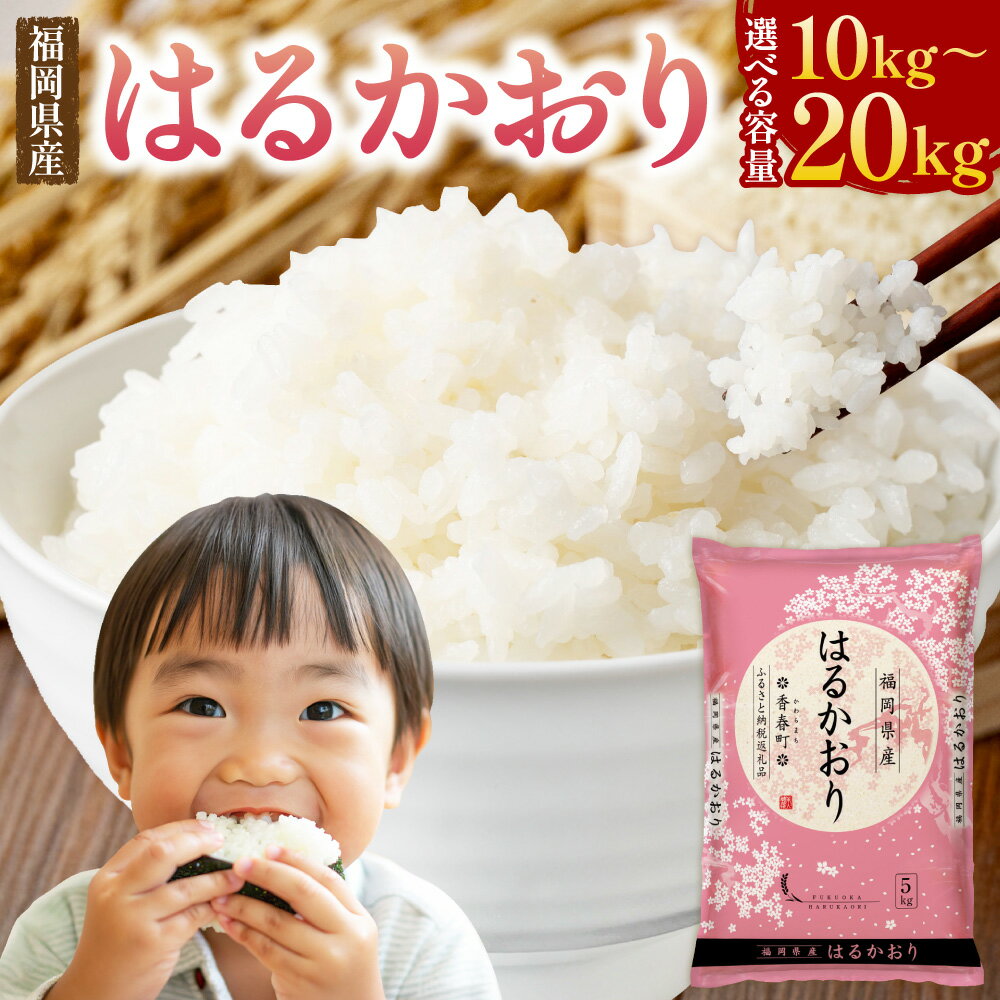 【ふるさと納税】福岡県産米 はるかおり 精米 〈選べる〉10kg or 20kg 米 お米 白米 ブレンド米 コメ ご飯 ごはん ライス 1袋あたり5kg 2袋 4袋 国産 福岡県 香春町 送料無料【令和6年産】【令和7年産 / 2025年10月上旬発送開始】 楽天スーパーSALE 9月開催