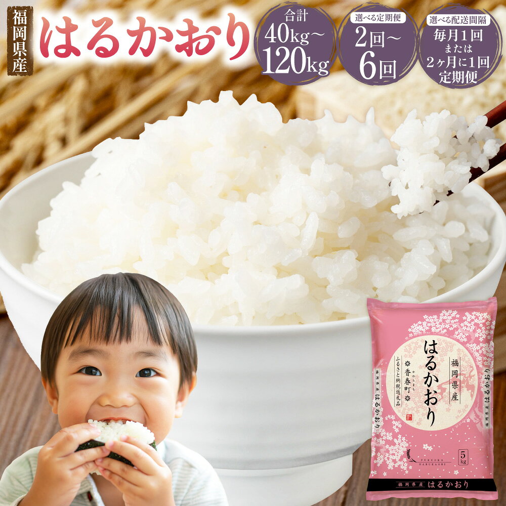 はるかおり 20kg ＜選べる回数＞ 【1ヶ月毎 2回 ／ 3回 ／ 4回 ／ 5回 ／ 6回 定期便】 【2ヶ月毎 2回 ／ 毎3回 定期便】 ／ 米 コメ お米 ご飯 ごはん 白ご飯 精米 おこめ 常温 福岡県 香春町 送料無料