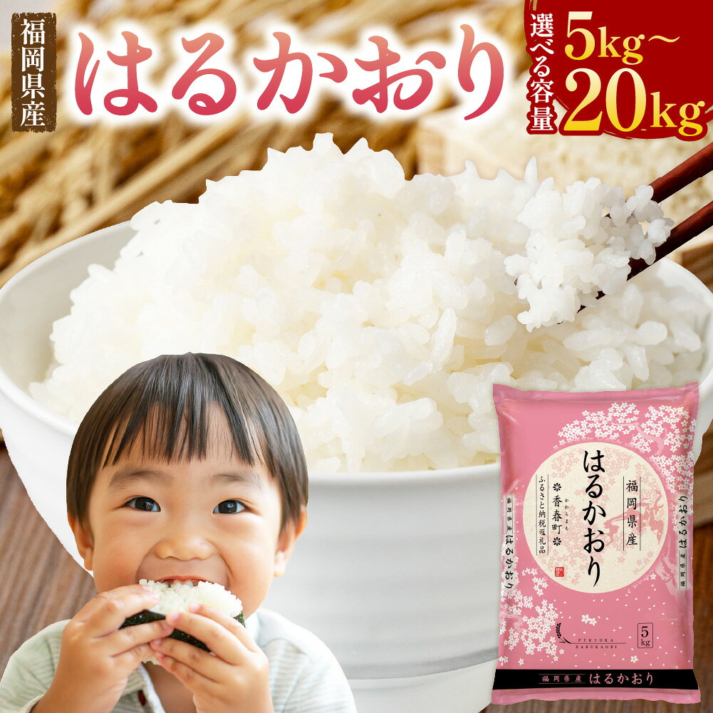 福岡県産米 はるかおり 精米 5kg ／ 10kg ／ 20kg 〈選べる容量〉 11000 円 ～ 32000 円 米 お米 白米 ブレンド米 コメ ご飯 ごはん ライス 1袋あたり5kg 1袋 2袋 4袋 国産 福岡県 香春町【令和7年産】