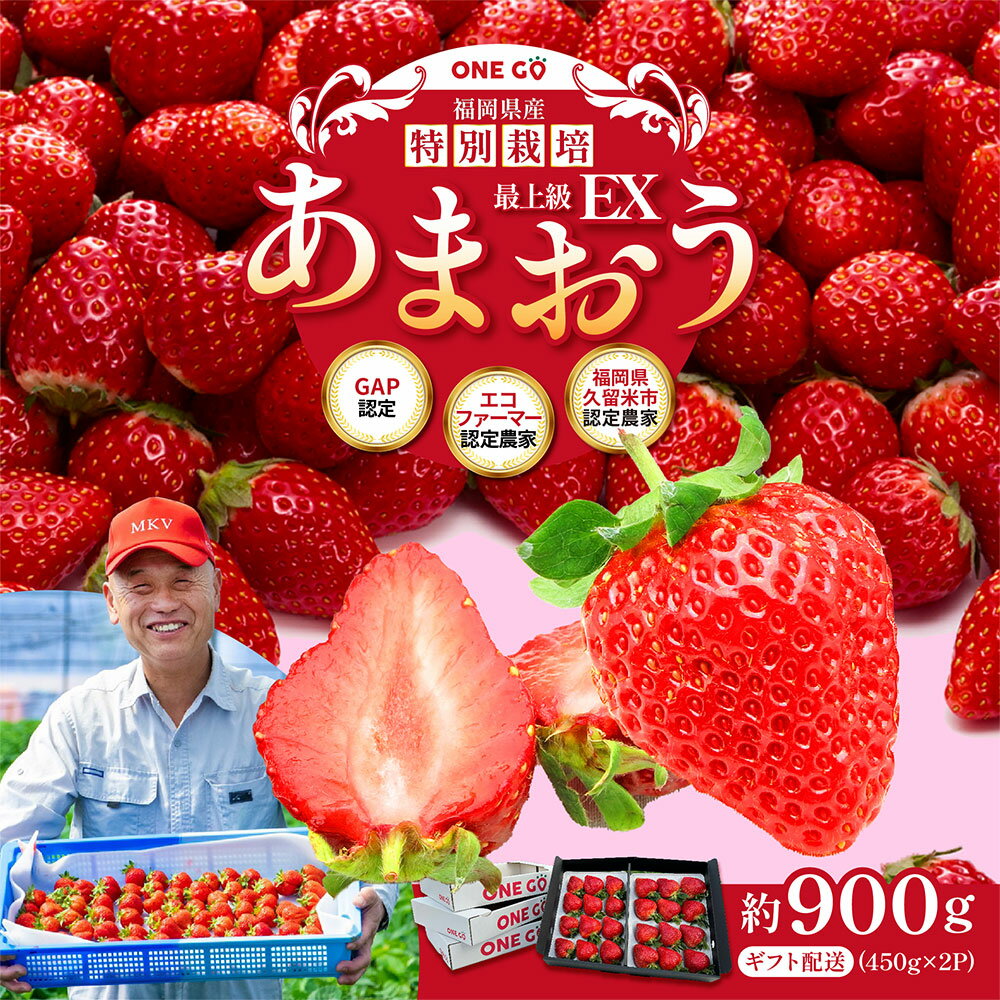 ギフト配送 約450g×2パック 約900g EX 福岡県産 あまおう 特別栽培 いちご 苺 ストロベリー 果物 フルーツ 福岡 国産 ギフト 送料無料【2026年1月上旬-3月下旬発送予定】