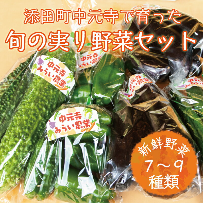 【ふるさと納税】中元寺 旬の実り 野菜 セット(旬の野菜 7～9種類程度) [a9010] 中元寺みらい農業株式会社 ※配送不可：北海道・東北・沖縄・離島【返礼品】添田町 ふるさと納税 - 画像2