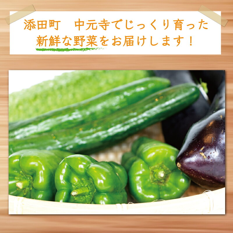 【ふるさと納税】中元寺 旬の実り 野菜 セット(旬の野菜 7～9種類程度) [a9010] 中元寺みらい農業株式会社 ※配送不可：北海道・東北・沖縄・離島【返礼品】添田町 ふるさと納税 - 画像3