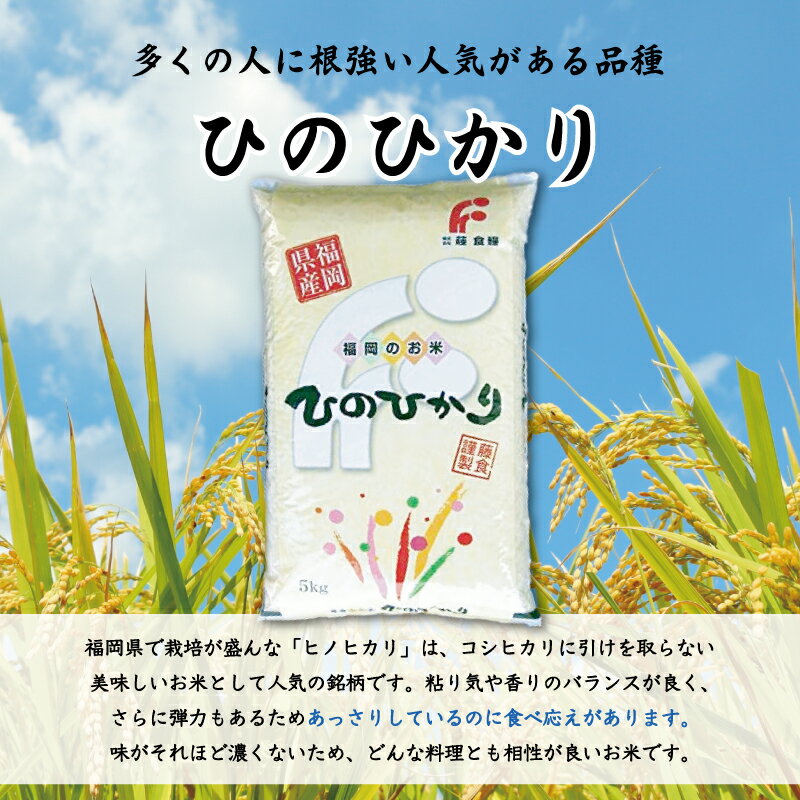 【ふるさと納税】令和6年産 福岡県産食べくらべ(夢つくし 元気つくし ヒノヒカリ)無洗米3品種セット15kg(5kg×3) [a7200] 株式会社 藤食糧 【返礼品】添田町 ふるさと納税 - 画像3