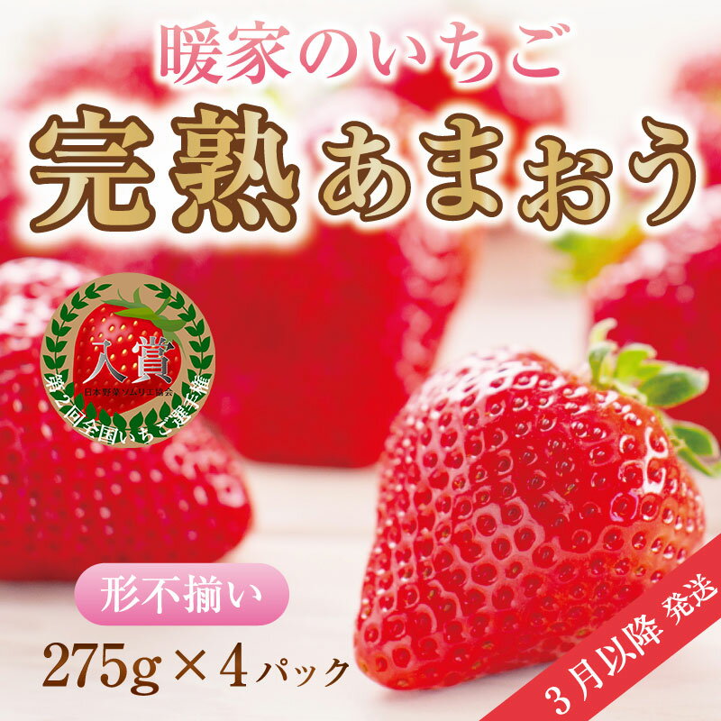 暖家のいちご 完熟あまおう 4パック(形不揃い) B4 [a6408] 社会福祉法人猪位金福祉会 暖家の丘 ※配送不可：北海道・沖縄・離島【返礼品】添田町 ふるさと納税