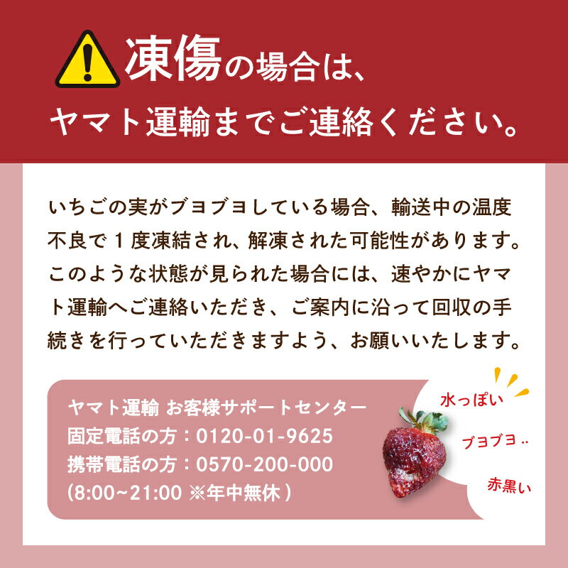 【ふるさと納税】 【2026年1-3月発送】 福岡県産 あまおう 約560g~1.2kg (約280g×2~4P) 冷蔵 小分け いちご 福岡県産 苺 あまおう 苺 1kg以上 果物 スイーツ 数量限定 期間限定 特別栽培 特産品 デザート フルーツ 博多 先行受付 サムネイル3