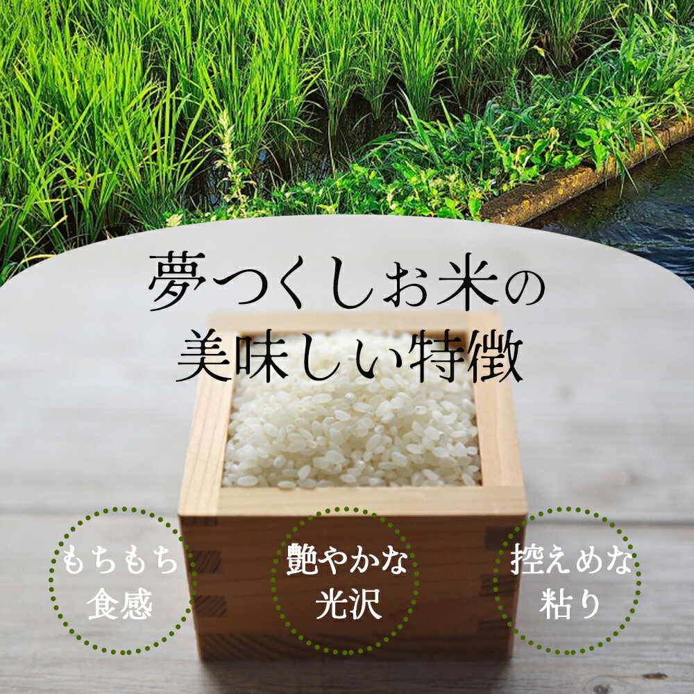 【ふるさと納税】夢つくし 300g 精米 小分け 米 お米 コメ ごはん ご飯 おこめ こめ ライス 白米 ブランド米 長期保存 備蓄 備蓄米 生活応援米 精米 長持ち 防災 夕食 晩ごはん 地震 緊急 避難 訳あり わけあり 2000円 国産 九州 福岡県産 福岡県 福岡 川崎 - 画像2