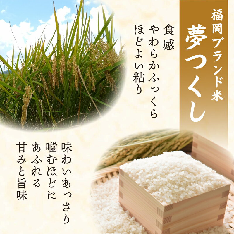 【ふるさと納税】スピード配送 米 5kg / 10kg 定期便 選べる容量 令和7年産 夢つくし 5キロ 10月 生活応援米 ふるさと納税 米 精米 お米 白米 福岡県産 ブランド 米 数量限定 国産 福岡県産米 コスパ 備蓄米 5kg 防災 コメ 5kg×2 コモリファーム 福岡 川崎町 - 画像3