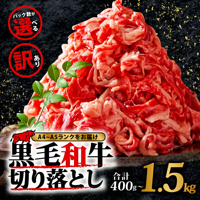 訳あり 黒毛和牛 切り落とし 400g~1.5kg 選べる 容量 冷凍 真空 小分け 国産 和牛 牛肉 ブランド和牛 スライス 焼き肉 お肉 便利 小間切れ ギフト プレゼント 年末 年始 焼肉 惣菜 おかず 晩ごはん BBQ 夕食 料理 理由あり 簡易包装 人気 福岡 川崎