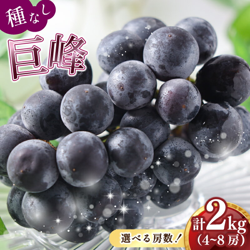 2026年先行予約 訳あり 種なし巨峰2kg 種無し 巨峰 （ 川崎町産 ）ブドウ ぶどう 果物 フルーツ デザート スイーツ 果樹園 国産 新鮮くだもの フルーツ 葡萄 朝採れ 産地直送 ご家庭 贈答 人気 ギフト 先行予約 旬 数量限定 お中元 お盆 福岡県 川崎町