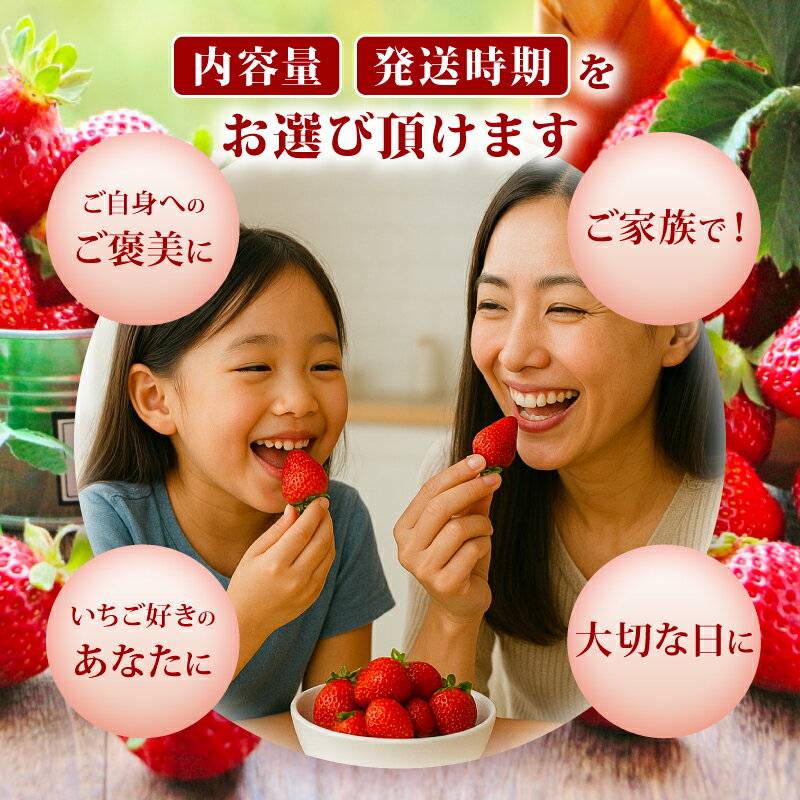 【ふるさと納税】 【2026年1-3月発送】 特別栽培 あまおう 約570g~1.14kg (約285g×2~4P) 冷蔵 小分け いちご 福岡県産 苺 あまおう 苺 果物 スイーツ 数量限定 期間限定 特別栽培 特産品 デザート フルーツ ふるさと納税あまおう【1月上旬より順次出荷】 サムネイル2