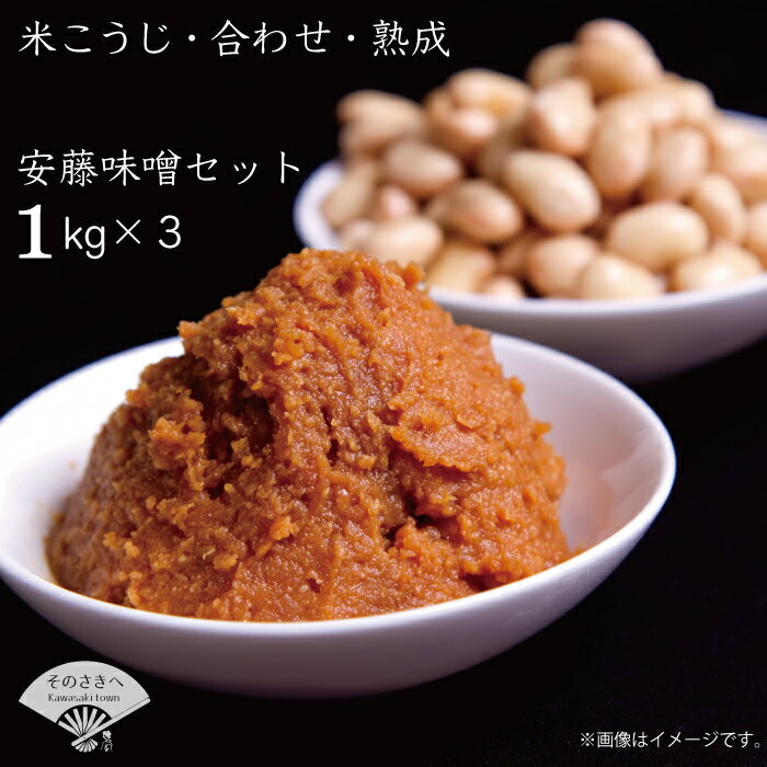 本格 生味噌 3kg セットみそ ミソ お味噌 味噌汁 夕食 惣菜 晩ごはん 調味料 調理 料理 便利 伝統 あんどう 本格 生みそ 3kgセット