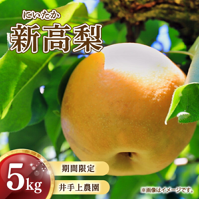 【10月頃から発送】 梨 ( 新高 ) 5kg 川崎町産 梨 | 井手上農園 産地直送 新高梨 なし にいたか フルーツ 果物 スイーツ デザート 梨 新高梨 新高 季節限定 数量限定 福岡県 川崎町 先行予約 先行受付 人気 2025年 旬にお届け ふるさと納税梨