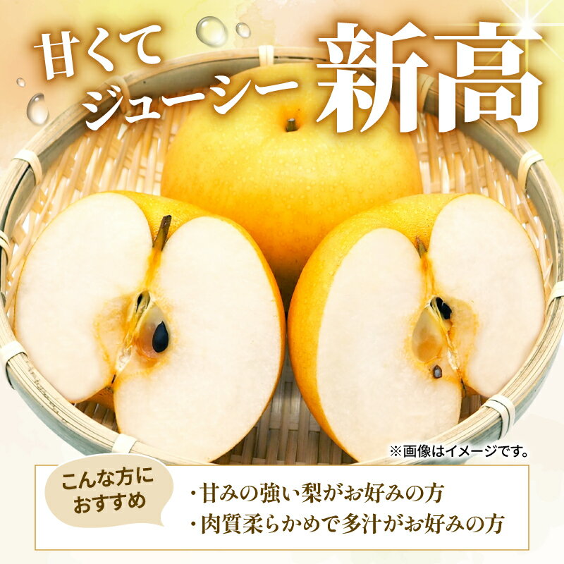 【ふるさと納税】 【10月頃から発送】 梨 ( 新高 ) 5kg 川崎町産 梨 | 井手上農園 産地直送 新高梨 なし にいたか フルーツ 果物 スイーツ デザート 梨 新高梨 新高 季節限定 数量限定 福岡県 川崎町 先行予約 先行受付 人気 2025年 旬にお届け ふるさと納税梨 サムネイル2