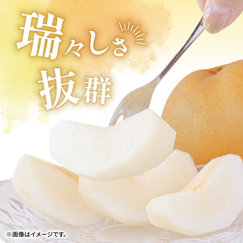 【ふるさと納税】 【2026年9月頃から発送】 梨 ( 豊水 ) 5kg 川崎町産 先行予約 梨 | 井手上農園 産地直送 梨 5kg 梨 豊水 なし フルーツ 梨 豊水 梨 豊水 梨 季節限定 梨 数量限定 梨 福岡県 川崎町 - 画像3