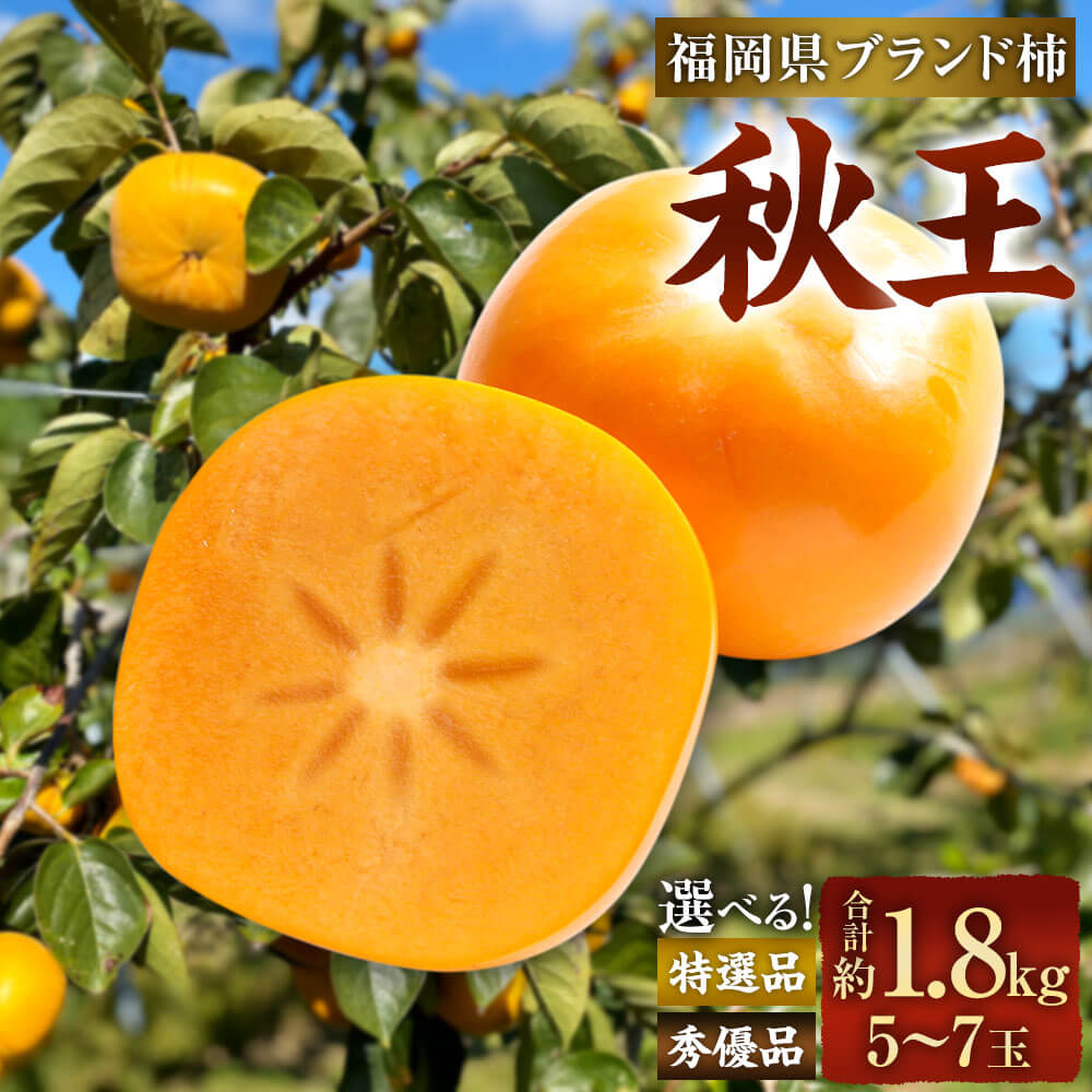 ＜選べる 種類＞福岡県ブランド柿 秋王 5-7玉 約1.8kg 特選品（化粧箱入り） または 秀優品 種無し 【2025年11月上旬-12月上旬発送予定】 柿 種なし 福岡県産 九州産 国産 果物 フルーツ くだもの 旬 冷蔵 福岡県 大任町 送料無料