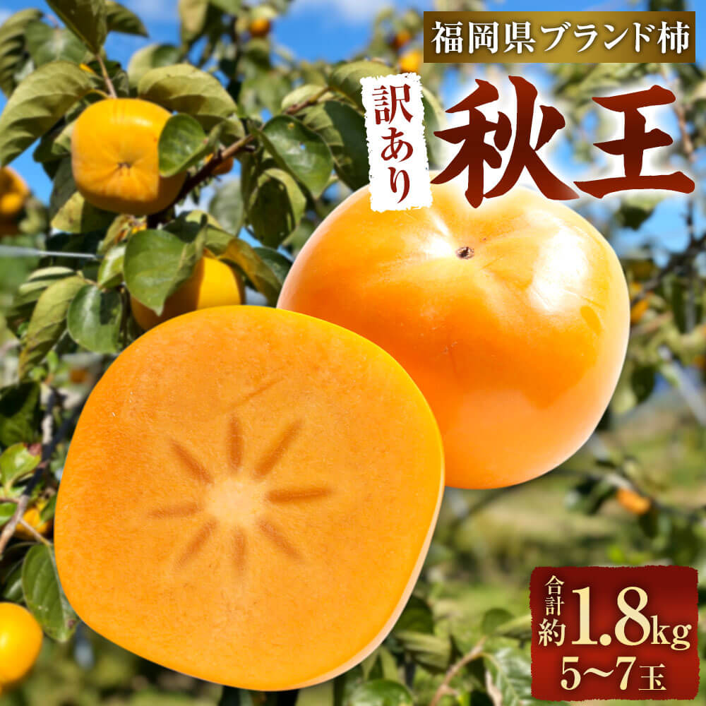 【訳あり品】 福岡県ブランド柿 秋王 5-7玉 約1.8kg 種無し 【2025年11月上旬-12月上旬発送予定】 訳あり ワケアリ ご家庭用 柿 種なし 福岡県産 九州産 国産 カキ かき 果物 フルーツ くだもの 旬 冷蔵 福岡県 大任町 送料無料