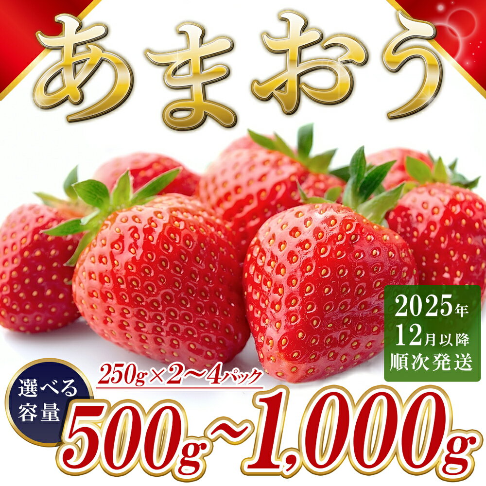 福岡県産 あまおう ＜選べる容量＞ 約500g前後（約250g×2）約1000g前後（約250g×4）12月以降発送 3KC4
