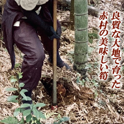 【ふるさと納税】【数量限定】赤村産　朝掘り皮つき竹の子　約3Kg　S1 - 画像3