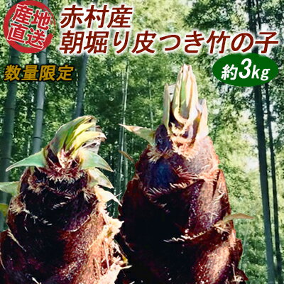 【数量限定】赤村産　朝掘り皮つき竹の子　約3Kg　S1
