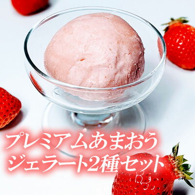 プレミアムあまおうジェラート2種セット　3SB2