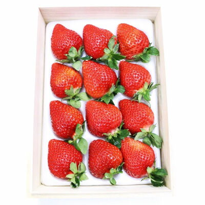 【ふるさと納税】ティッシュボックス用 特別仕様 の 桐箱入り プレミアム あまおう　あまおう EX400g×1 パック （ 4パック ） 3SA3 サムネイル2