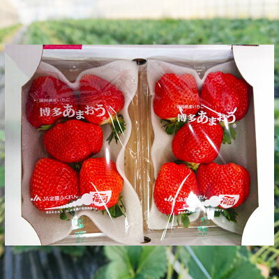 【ふるさと納税】 厳選 大粒 あまおう （ 4パック ） 3SA2 サムネイル3