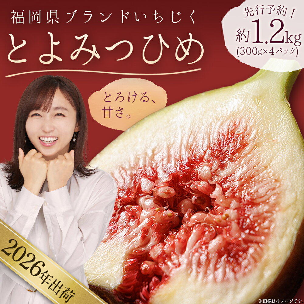 福岡県 ブランド いちじく 「 とよみつひめ 」 約 1.2kg ( 約 300g × 4パック ) イチジク 無花果 国産 フルーツ 果物 食物繊維 美容 送料無料 3W2