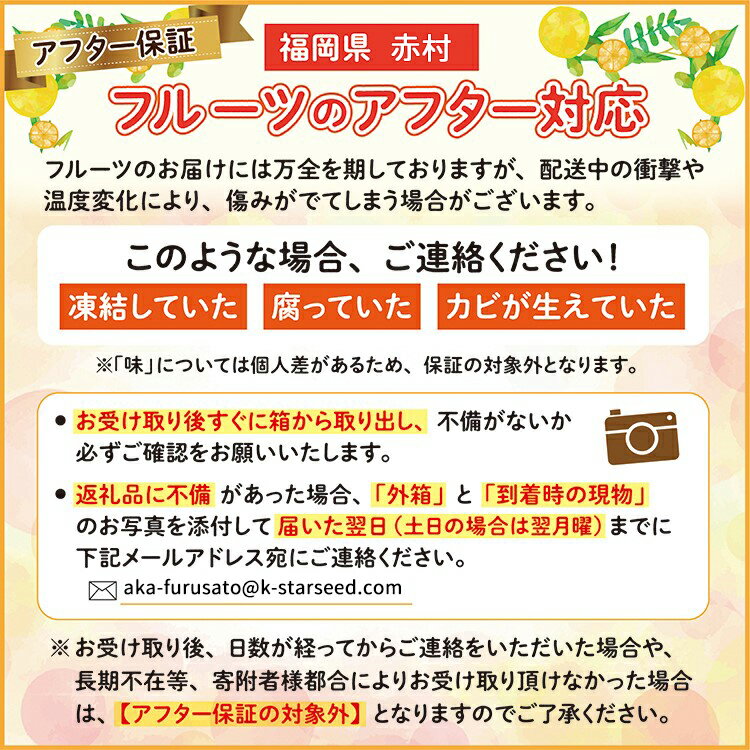 【ふるさと納税】 フルーツの老舗“南国フルーツ”の夏から冬のフルーツ定期便【全5回】定期便 南国フルーツ フルーツ とよみつひめ いちじく 早味かん みかん 秋王 柿 甘うぃ キウイ あまおう いちご お取り寄せ 福岡土産 取り寄せ グルメ 福岡県 食品 赤村 4A28 サムネイル2
