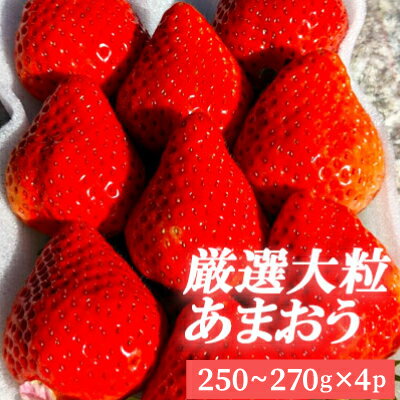 厳選 大粒 あまおう （ 4パック ） 3SA2
