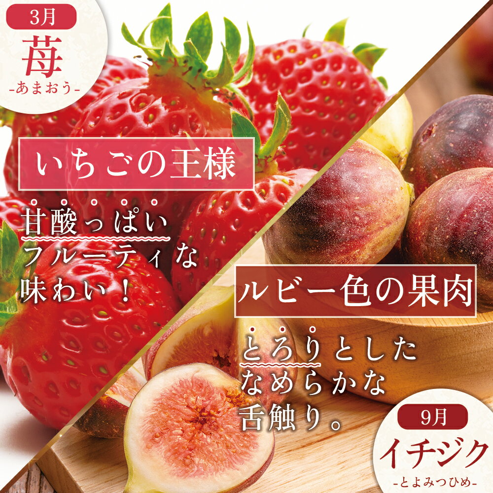 【ふるさと納税】福岡県認定 季節 の 果実 セレクション フルーツ 定期便【 全4回 】 イチジク 無花果 イチゴ 苺 いちご あまおう キウイ 甘うぃ 柿 かき 秋王 国産 日本 果物 食材宅配 食物繊維 美容 送料無料 サブスク 福岡県 赤村　3W26 サムネイル2