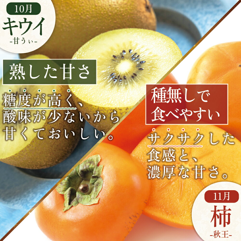 【ふるさと納税】福岡県認定 季節 の 果実 セレクション フルーツ 定期便【 全4回 】 イチジク 無花果 イチゴ 苺 いちご あまおう キウイ 甘うぃ 柿 かき 秋王 国産 日本 果物 食材宅配 食物繊維 美容 送料無料 サブスク 福岡県 赤村　3W26 サムネイル3