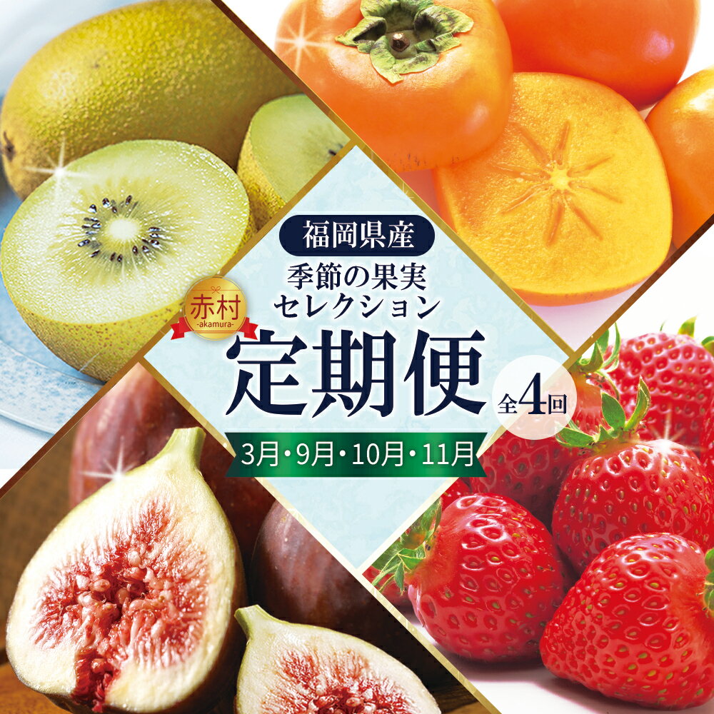 福岡県認定 季節 の 果実 セレクション フルーツ 定期便【 全4回 】 イチジク 無花果 イチゴ 苺 いちご あまおう キウイ 甘うぃ 柿 かき 秋王 国産 日本 果物 食材宅配 食物繊維 美容 送料無料 サブスク 福岡県 赤村　3W26