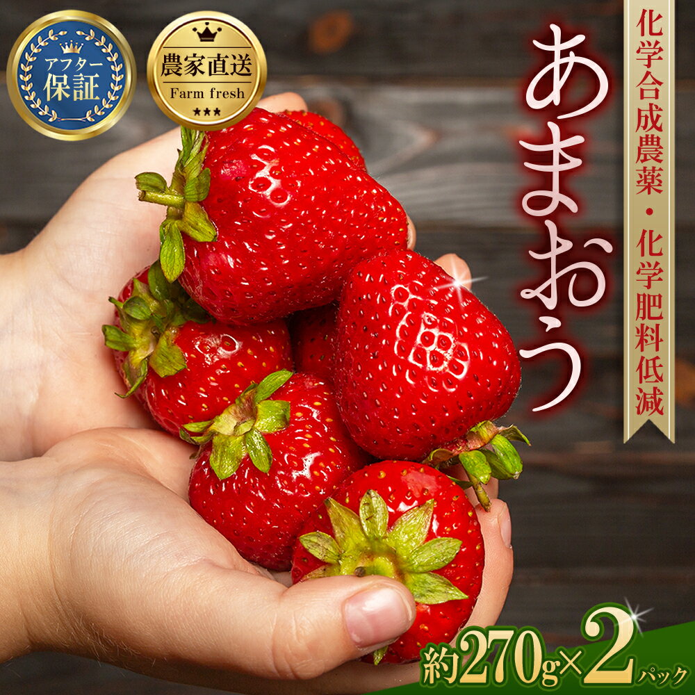 【先行予約／2027年出荷】【数量限定】 農家直送 特別栽培 あまおう 約270g前後 × 2パック いちご イチゴ 苺 デザート 果物 くだもの フルーツ ジャム にも ケーキ にも 先行予約 福岡 赤村 3W19