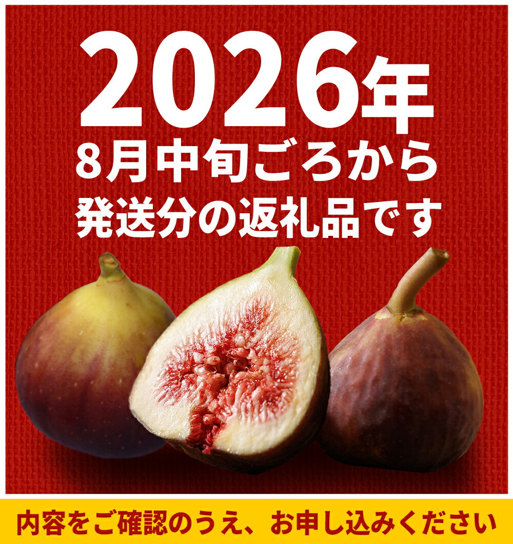 【ふるさと納税】福岡県 ブランド いちじく 「 とよみつひめ 」 約 1.2kg ( 約 300g × 4パック ) イチジク 無花果 国産 フルーツ 果物 食物繊維 美容 送料無料 3W2 サムネイル2