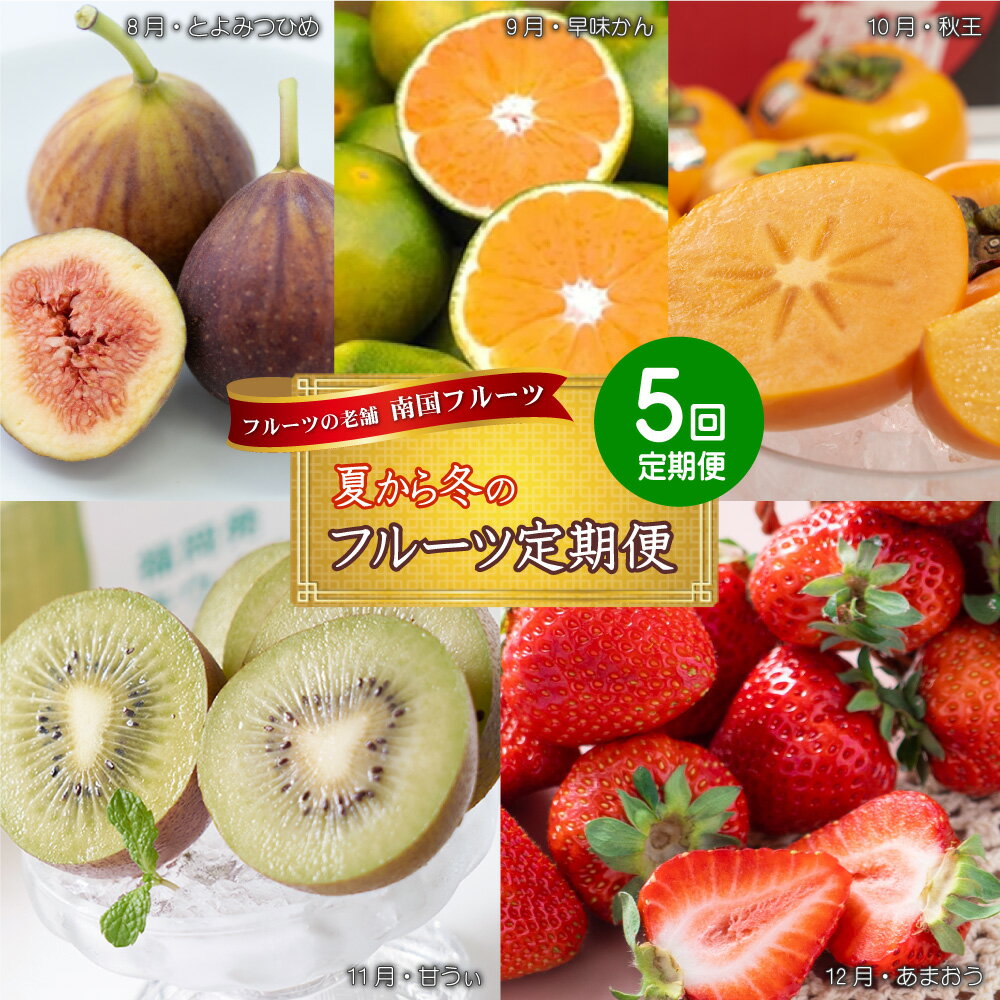 フルーツの老舗“南国フルーツ”の夏から冬のフルーツ定期便【全5回】定期便 南国フルーツ フルーツ とよみつひめ いちじく 早味かん みかん 秋王 柿 甘うぃ キウイ あまおう いちご お取り寄せ 福岡土産 取り寄せ グルメ 福岡県 食品 赤村 4A28
