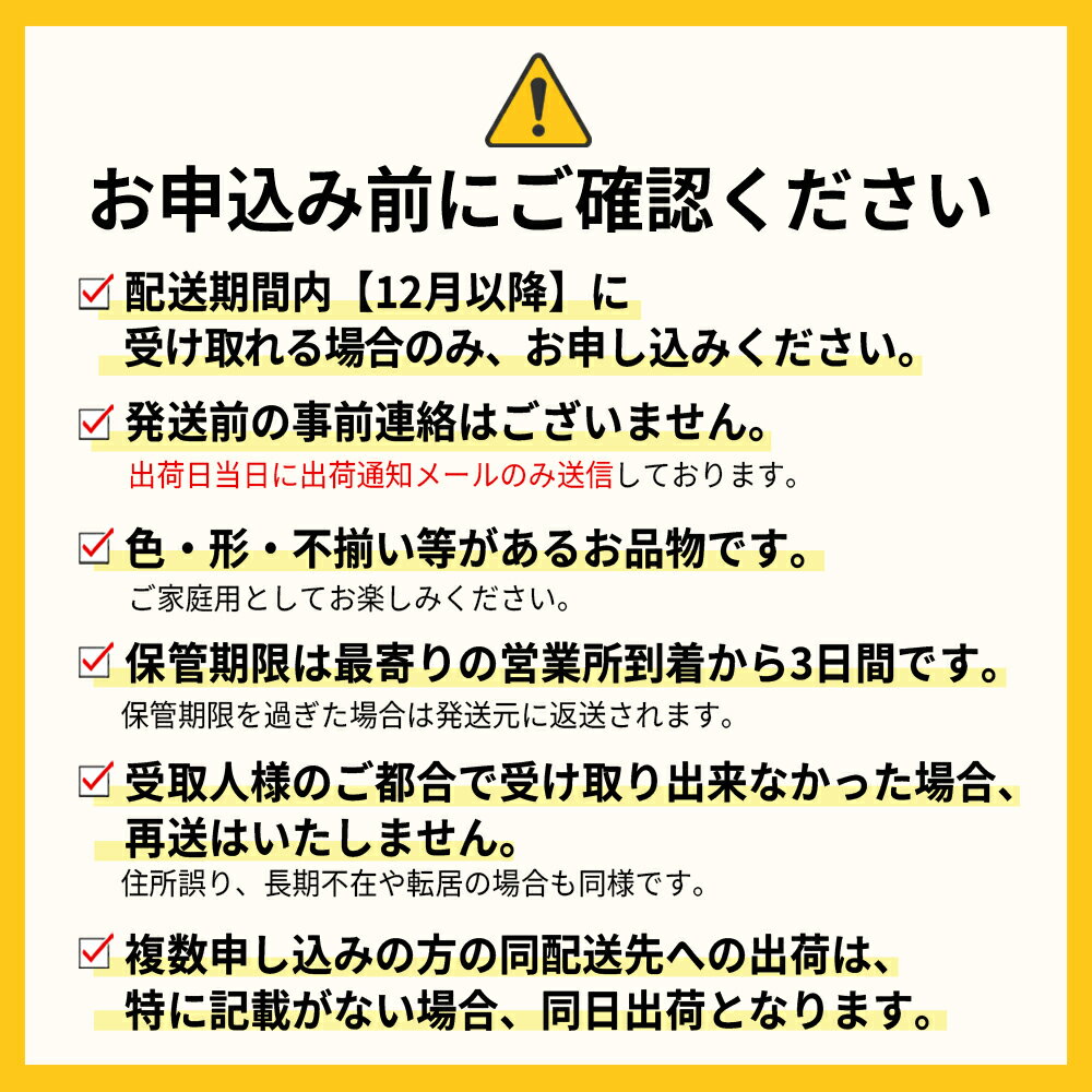 【ふるさと納税】福岡県産 あまおう ＜選べる容量＞ 約500g前後（約250g×2）約1000g前後（約250g×4）12月以降発送 3KC4 サムネイル2