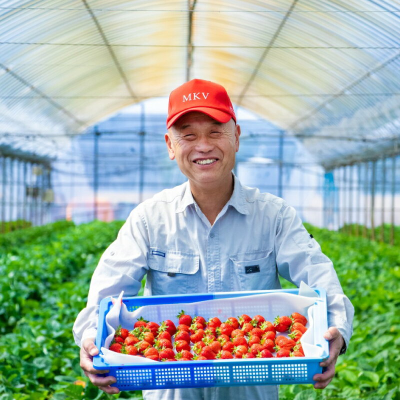 【ふるさと納税】福岡県産あまおう 280g×2パック 合計約560g あまおう いちご フルーツ 果物 旬 イチゴ 福岡県産 送料無料 2Z5-S サムネイル3