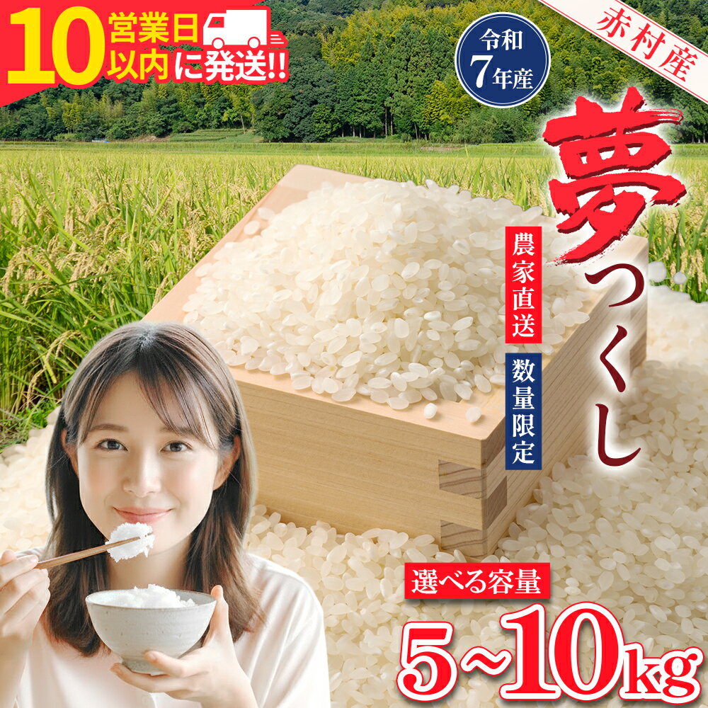 【10営業日以内に発送】 赤村産米 農家直送【数量限定】おこめ こめ 米 精米 夢つくし 5kg～10kg 福岡県 赤村 (品番：4U1-S/4U2)