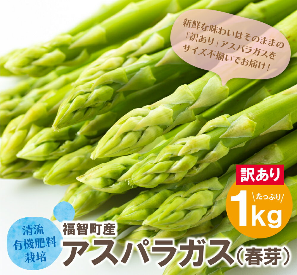 【訳あり】清流・有機肥料使用 アスパラガス(春芽) 1kg 期間限定 数量限定 朝獲れ 朝摘み アスパラ アスパラガス 野菜 とれたて 新鮮 旬 お取り寄せ 福岡県 福智町 国産 九州産 送料無料